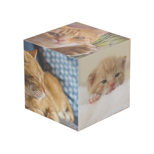 De Vibe van uw huisdier: aangepaste fotokubus (Voorkant hoekig)