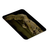 De Victory of Samothrace (Parian marble) (zie ook Magneet (Rechterzijde)