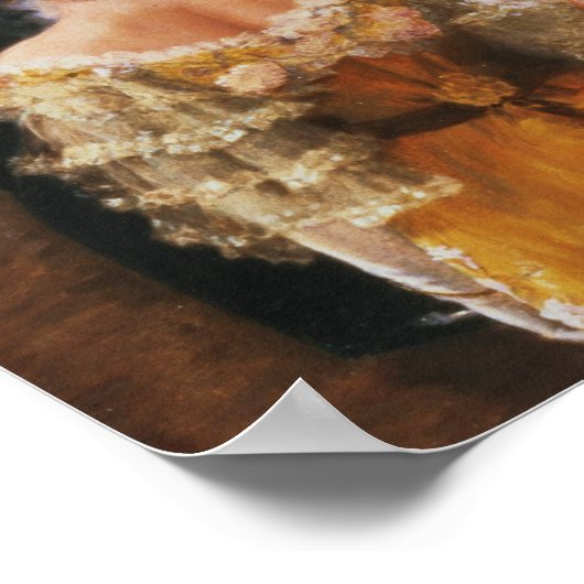 De Viennese Ball Poster (Hoek)