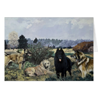 De vier Belgische kaarten