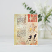 De vier paarden van de Apocalyps Briefkaart (Staand voorkant)