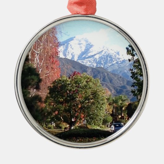 De vier seizoenen metalen ornament (Voorkant)