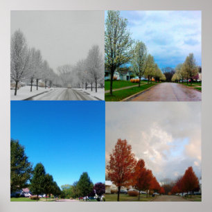 DE VIER SEIZOENEN POSTER