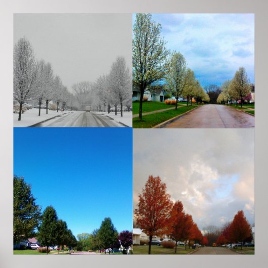 DE VIER SEIZOENEN POSTER (Voorkant)