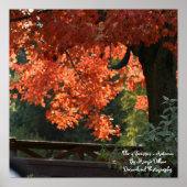 De vier seizoenen - Poster in het najaar (Voorkant)