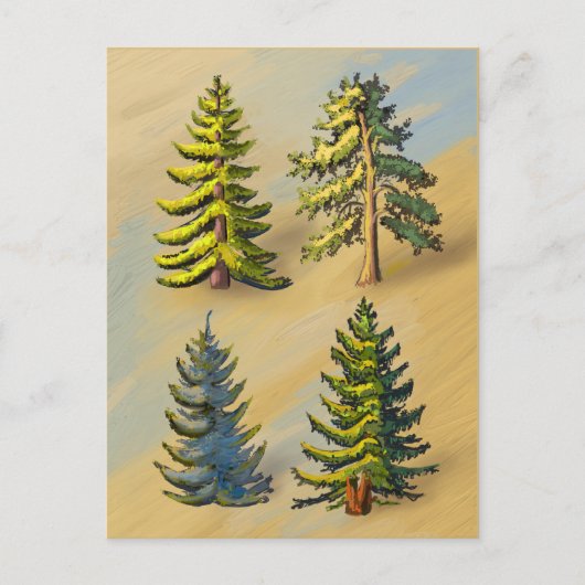 De vier soorten zilversparren, botanisch. briefkaart (Voorkant)