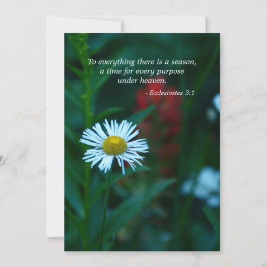 De viering van de Uitnodiging van het Leven, het C (Voorkant)