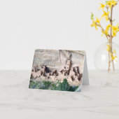 De vierkante Kaart van de Nota van de Woning van (Gele Bloem)