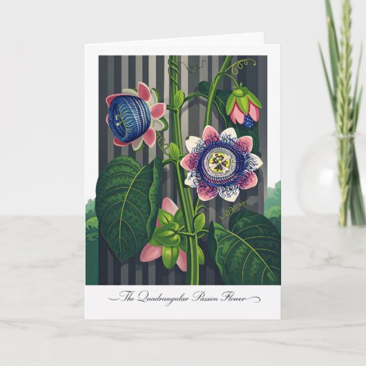 De Vierkante Passiebloem Moderne Botanische Kunst Kaart (Voorkant)