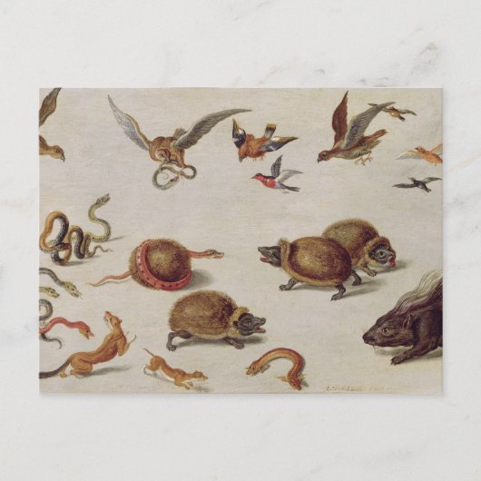 De vijanden van slangen briefkaart (Voorkant)