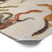 De vijanden van slangen poster (Hoek)