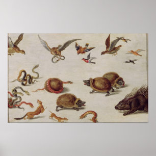 De vijanden van slangen poster