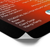 De vijf elementen poster (Hoek)