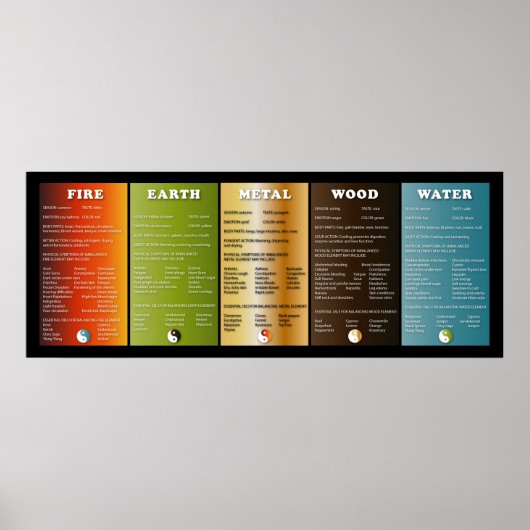 De vijf elementen poster (Voorkant)