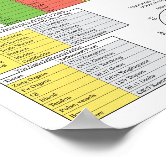 De vijf elementen van Acupuncture Poster 18 x 24 i (Hoek)