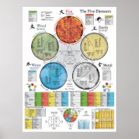 De vijf elementen van Acupuncture Poster 18 x 24 i
