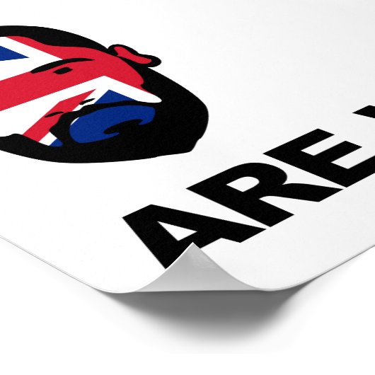 De vijf ogen poster (Hoek)