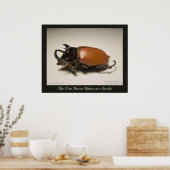 De vijf paarden Rhinocero Beetle Poster (Keuken)