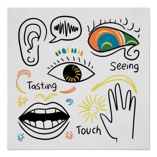 De vijf zintuigen perfect poster (Voorkant)