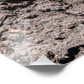 De vijfde binnenzijde foto afdruk (Hoek)