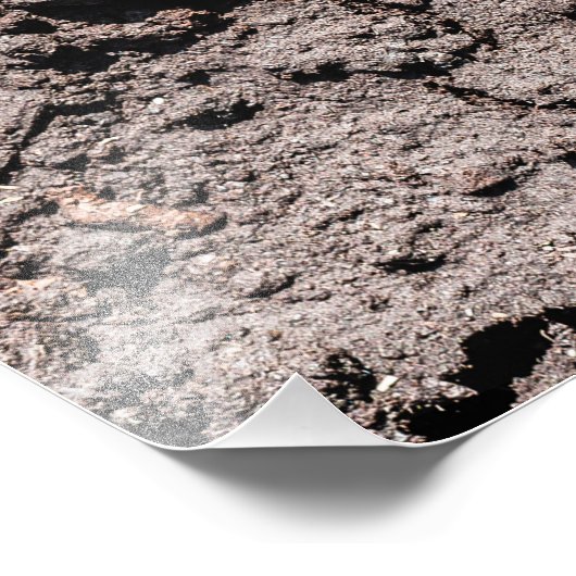 De vijfde binnenzijde foto afdruk (Hoek)