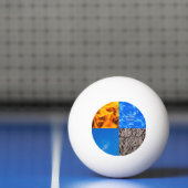 De vijfde binnenzijde pingpongbal (Net)