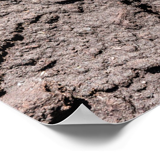 De vijfde binnenzijde poster (Hoek)