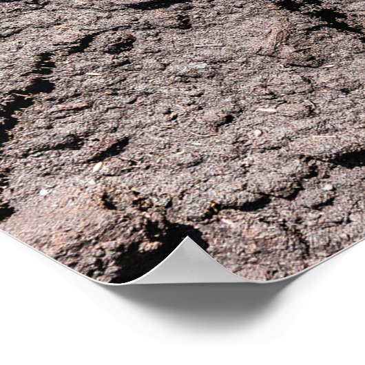 De vijfde is er. poster (Hoek)