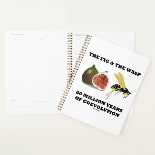 De vijg & de wesp 80 miljoen jaar co-evolutie planner (Display)