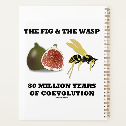 De vijg & de wesp 80 miljoen jaar co-evolutie planner (Achterkant)