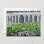 De Vijver die van Lotus op de Bogen van de Brug Briefkaart (Voorkant / Achterkant)