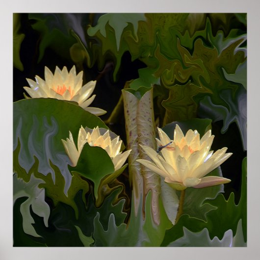 De vijver van de Fae.... Poster (Voorkant)