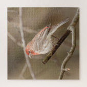 De vink van het huis die op tak wordt vastgehouden legpuzzel (Verticaal)