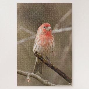De vink van het huis die op tak wordt vastgehouden legpuzzel
