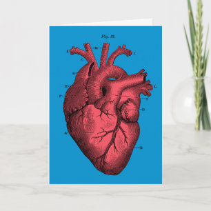 De vintage Anatomische Valentijnsdag van het Hart Feestdagen Kaart