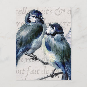 De vintage Blauwe Collage van Vogels - Briefkaart