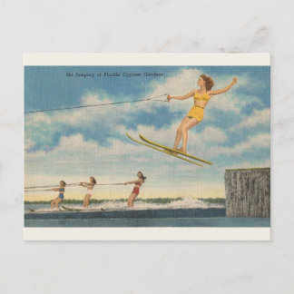 De vintage Cipres van Florida tuiniert Briefkaart