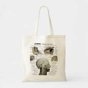 De vintage Franse Zak van de Anatomie Tote Bag