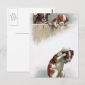 "De Vintage honden die van Sneeuwballen spelen" Briefkaart (Voorkant / Achterkant)