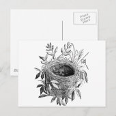 de vintage illustratie van het vogelnest briefkaart (Voorkant / Achterkant)
