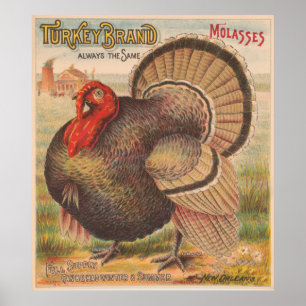 De vintage Illustratie van Turkije van de Poster