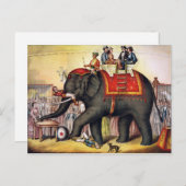 De vintage Olifant van het Circus Briefkaart (Voorkant / Achterkant)