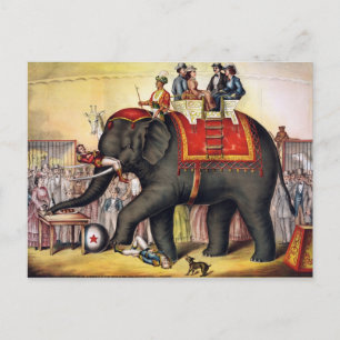 De vintage Olifant van het Circus Briefkaart