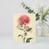 De vintage Roze Bloem van de Chrysant Briefkaart (Staand voorkant)