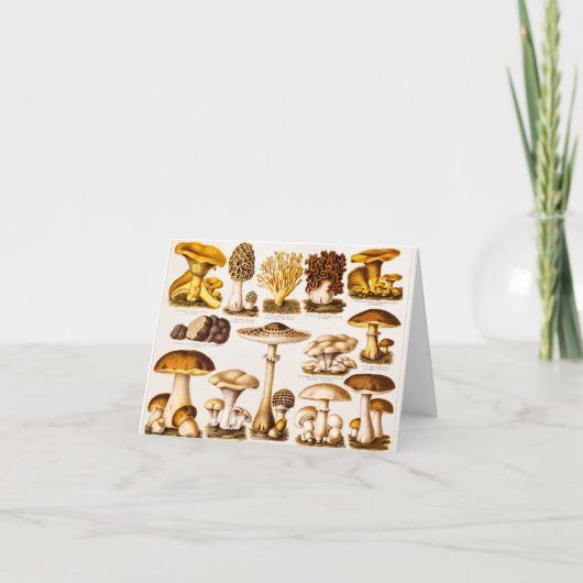 De vintage Sjabloon van de Verscheidenheid van de (Voorkant)