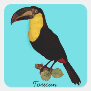 DE VINTAGE VOGEL VAN DE TOEKAN. GEEL-THROATED VIERKANTE STICKER