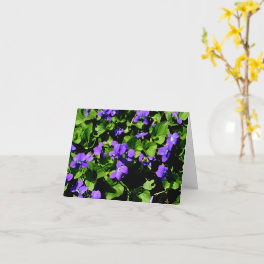 De violette Kaarten van de Nota (Gele Bloem)