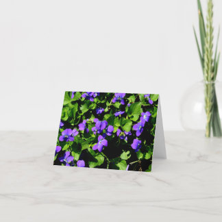 De violette Kaarten van de Nota