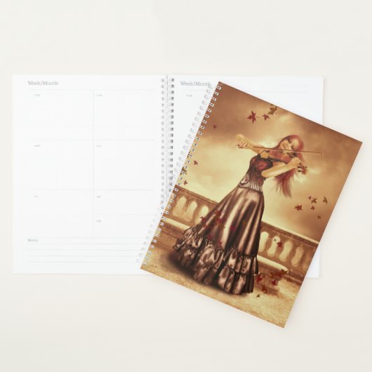 De violist planner (Display)