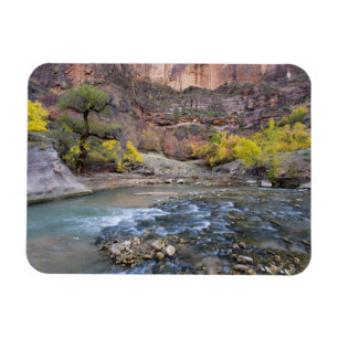 De Virgin River in de herfst in Zion National Park Magneet